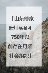 山东傅家遗址实证4750年以前存在母系社会组织