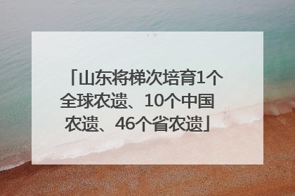 山东将梯次培育1个全球农遗、10个中国农遗、46个省农遗
