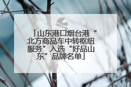 山东港口烟台港“北方商品车中转枢纽服务”入选“好品山东”品牌名单