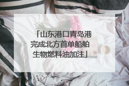 山东港口青岛港完成北方首单船舶生物燃料油加注