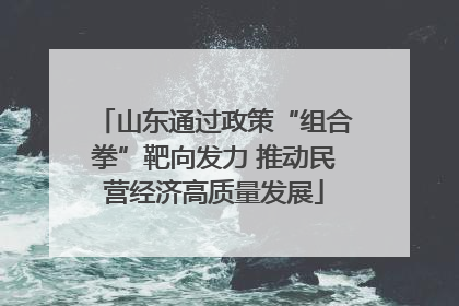 山东通过政策“组合拳”靶向发力 推动民营经济高质量发展