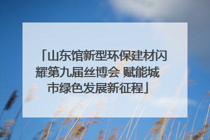 山东馆新型环保建材闪耀第九届丝博会 赋能城市绿色发展新征程