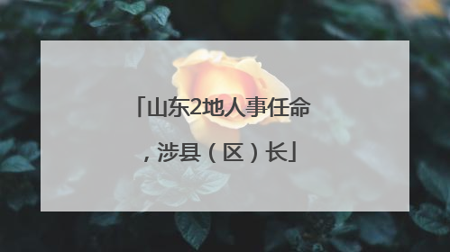 山东2地人事任命，涉县（区）长