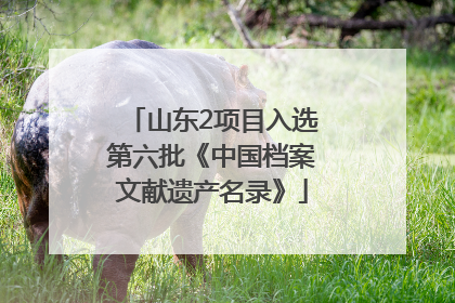 山东2项目入选第六批《中国档案文献遗产名录》
