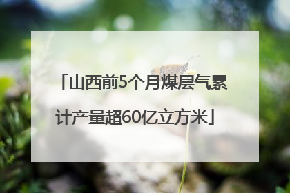 山西前5个月煤层气累计产量超60亿立方米