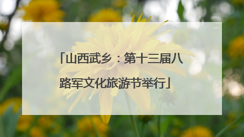 山西武乡：第十三届八路军文化旅游节举行