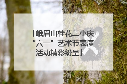 峨眉山桂花二小庆“六一”艺术节表演活动精彩纷呈