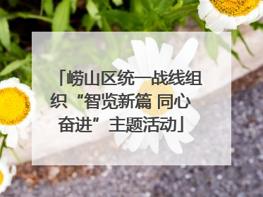 崂山区统一战线组织“智览新篇 同心奋进”主题活动