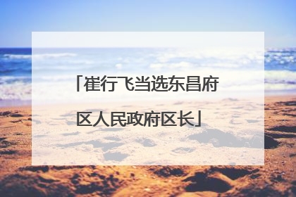 崔行飞当选东昌府区人民政府区长