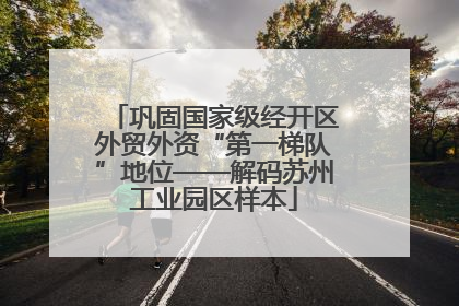巩固国家级经开区外贸外资“第一梯队”地位——解码苏州工业园区样本