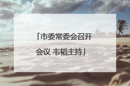 市委常委会召开会议 韦韬主持