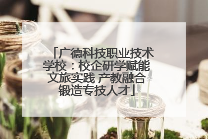 广德科技职业技术学校：校企研学赋能文旅实践 产教融合锻造专技人才