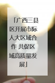 广西三县区开展市际人大区域合作 共促区域高质量发展