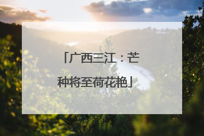广西三江：芒种将至荷花艳
