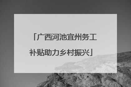 广西河池宜州务工补贴助力乡村振兴