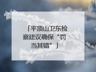 平顶山卫东检察建议确保“罚当其错”