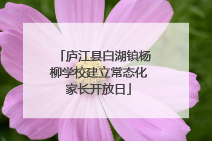 庐江县白湖镇杨柳学校建立常态化家长开放日