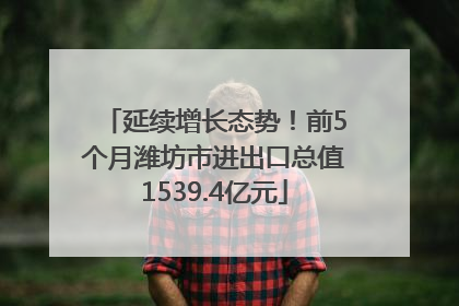 延续增长态势！前5个月潍坊市进出口总值1539.4亿元