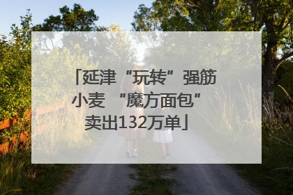 延津“玩转”强筋小麦 “魔方面包”卖出132万单