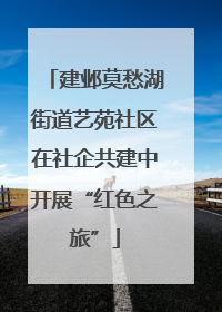 建邺莫愁湖街道艺苑社区在社企共建中开展“红色之旅”