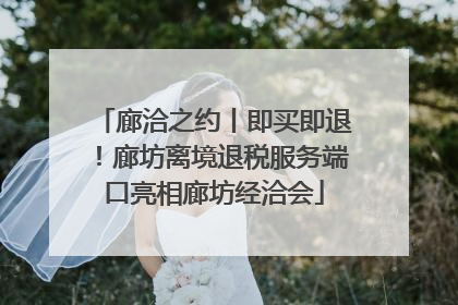 廊洽之约丨即买即退！廊坊离境退税服务端口亮相廊坊经洽会
