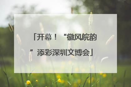 开幕！“徽风皖韵”添彩深圳文博会