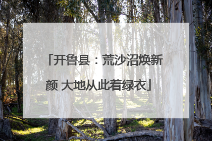 开鲁县：荒沙沼焕新颜 大地从此着绿衣
