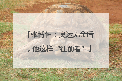 张博恒：奥运无金后，他这样“往前看”