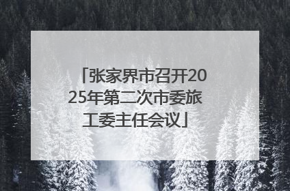 张家界市召开2025年第二次市委旅工委主任会议