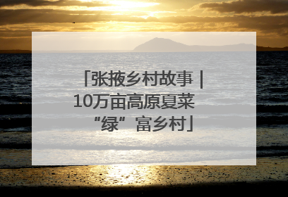 张掖乡村故事｜10万亩高原夏菜“绿”富乡村