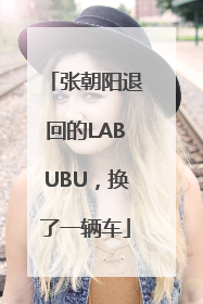 张朝阳退回的LABUBU，换了一辆车