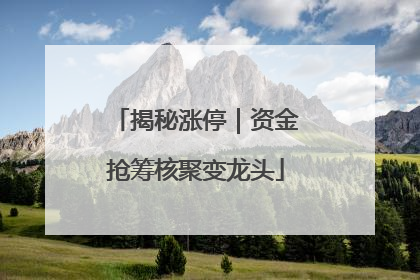 揭秘涨停｜资金抢筹核聚变龙头