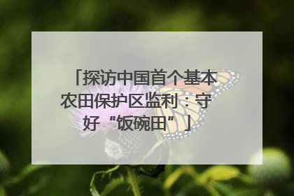 探访中国首个基本农田保护区监利：守好“饭碗田”