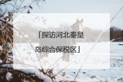 探访河北秦皇岛综合保税区
