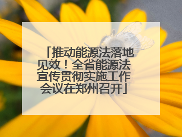 推动能源法落地见效！全省能源法宣传贯彻实施工作会议在郑州召开