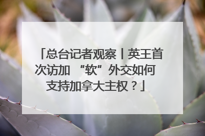 总台记者观察丨英王首次访加 “软”外交如何支持加拿大主权？