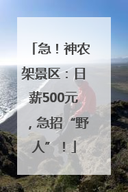 急！神农架景区：日薪500元，急招“野人”！