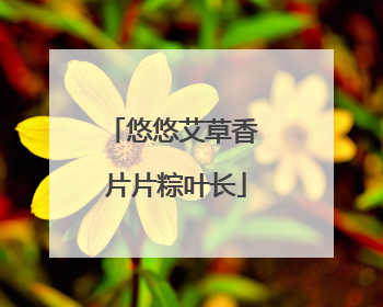 悠悠艾草香 片片粽叶长