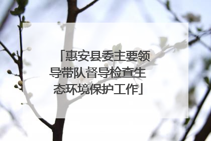 惠安县委主要领导带队督导检查生态环境保护工作