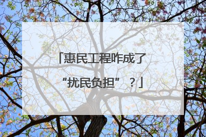 惠民工程咋成了“扰民负担”？