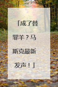 成了替罪羊？马斯克最新发声！