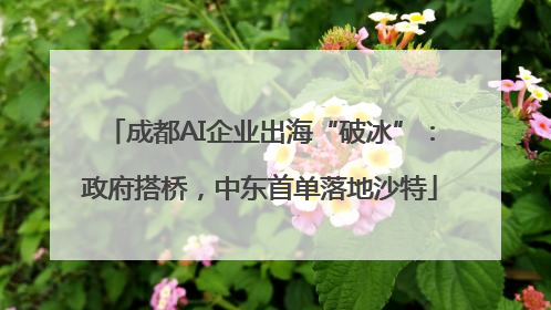 成都AI企业出海“破冰”：政府搭桥，中东首单落地沙特