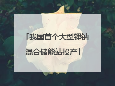 我国首个大型锂钠混合储能站投产