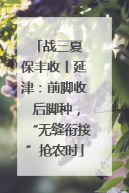战三夏 保丰收丨延津：前脚收 后脚种，“无缝衔接”抢农时