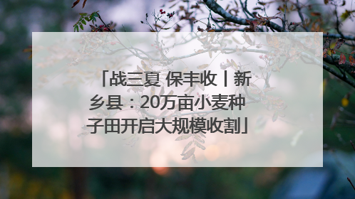 战三夏 保丰收丨新乡县：20万亩小麦种子田开启大规模收割