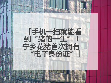 手机一扫就能看到“猪的一生”！宁乡花猪首次拥有“电子身份证”
