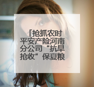 抢抓农时 平安产险河南分公司“抗旱抢收”保夏粮归仓