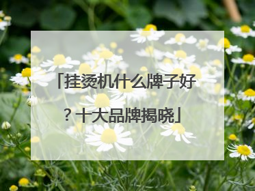 挂烫机什么牌子好？十大品牌揭晓