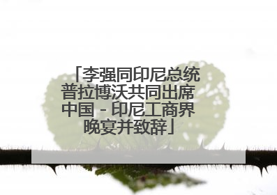 李强同印尼总统普拉博沃共同出席中国－印尼工商界晚宴并致辞