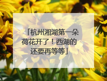 杭州湘湖第一朵荷花开了！西湖的还要再等等